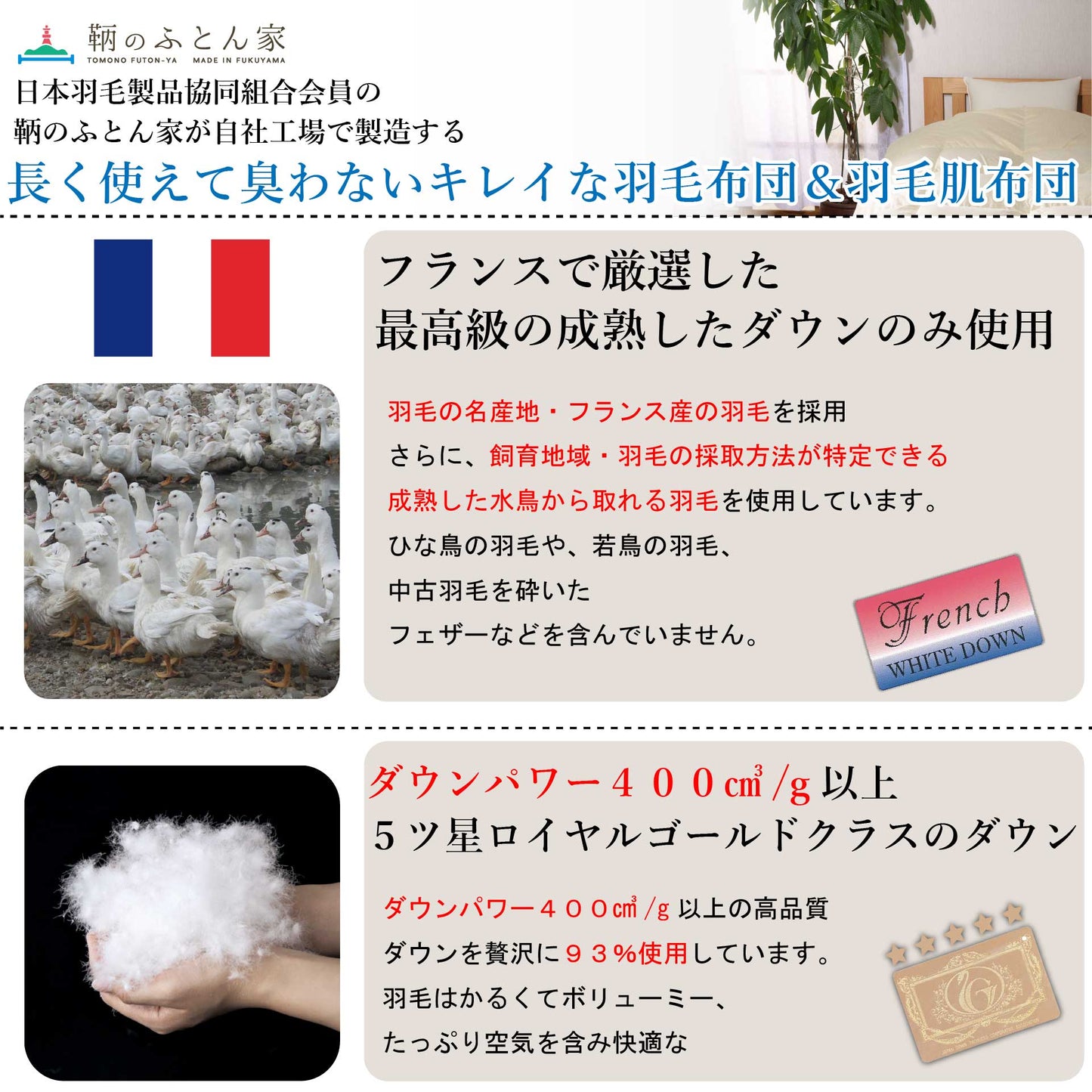 鞆のふとん家 河田フェザー フランス産ダック ロイヤルゴールド 厚手 ボリューム満点掛け布団 画像3