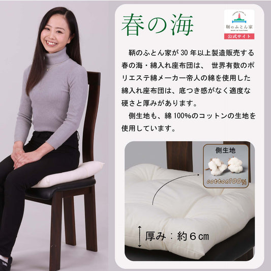 座布団 中身 【春の海】テイジン 抗菌 防臭 防ダニ わた使用 日本製 【鞆のふとん家】2
