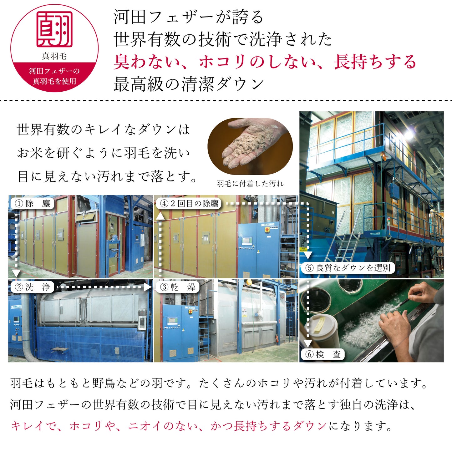 鞆のふとん家 河田フェザー フランス産ダック ロイヤルゴールド 薄手 合掛け布団 画像5