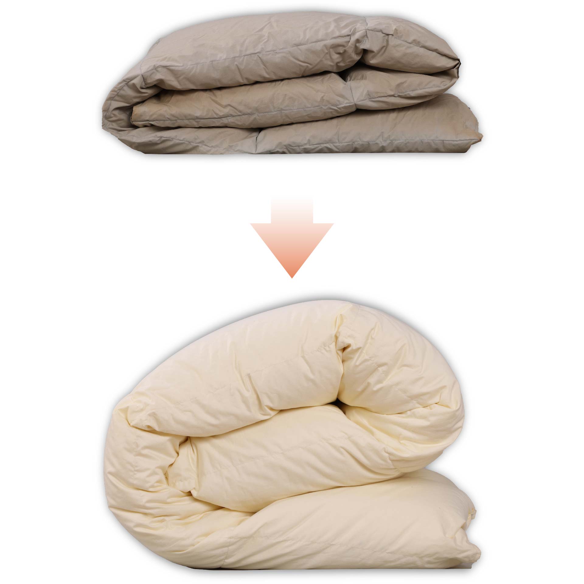 Google_-05_e9e24304-e142-456e-