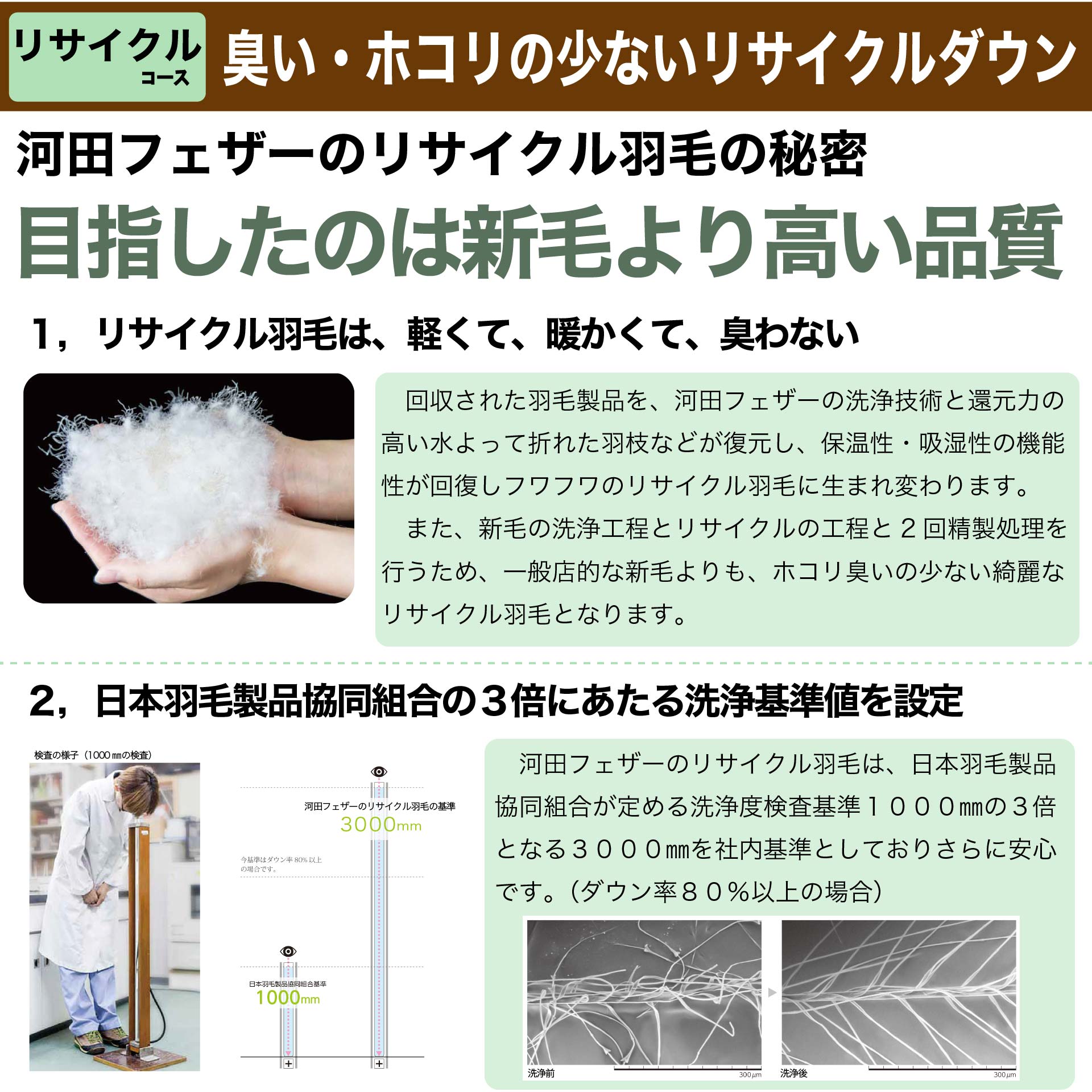 鞆のふとん家 河田フェザーダウン 増量 羽毛掛布団10