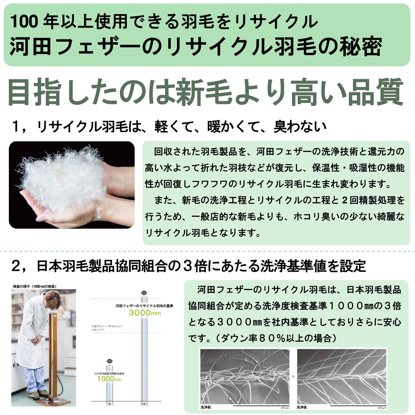鞆のふとん家 河田フェザー リサイクルダウン 羽毛肌掛け布団 臭い ホコリ 少ない 画像4