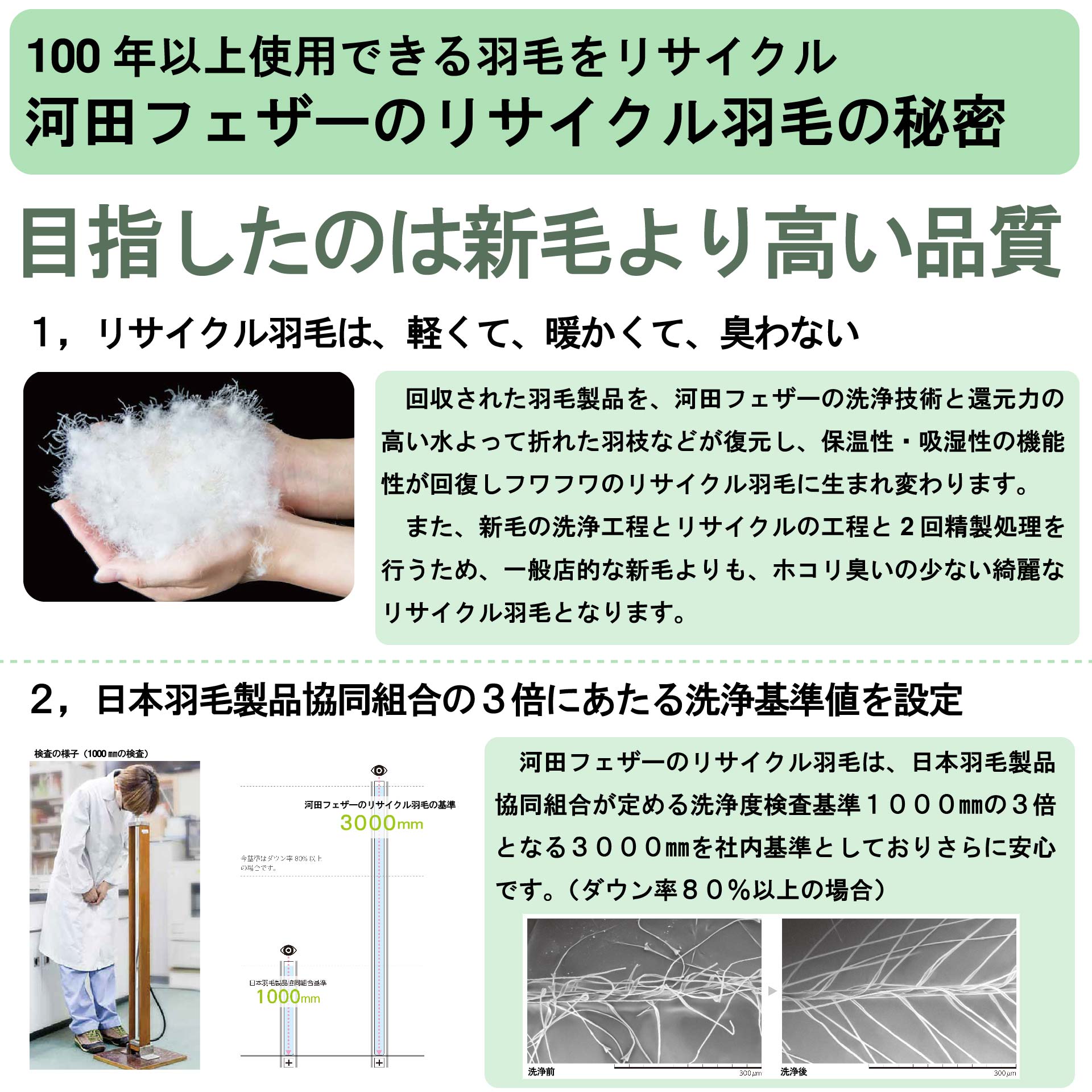鞆のふとん家 河田フェザー リサイクルダウン 羽毛肌掛け布団 臭い ホコリ 少ない 画像4